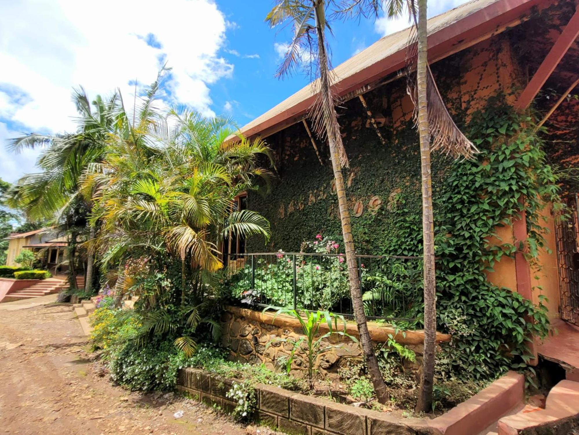 Babylon Lodge Marangu Exterior foto
